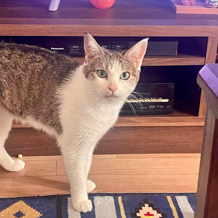 952232c1 f99f 4242 86a7 9542d6ed326f 1628204952770