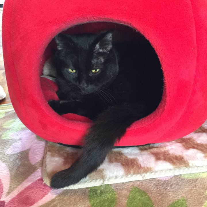 95227ad4 85e3 4866 8958 3e7d7fa9605c 1523235967225