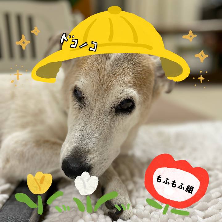 952283e0 5c32 428c 9103 61cf725165be 1712609343042