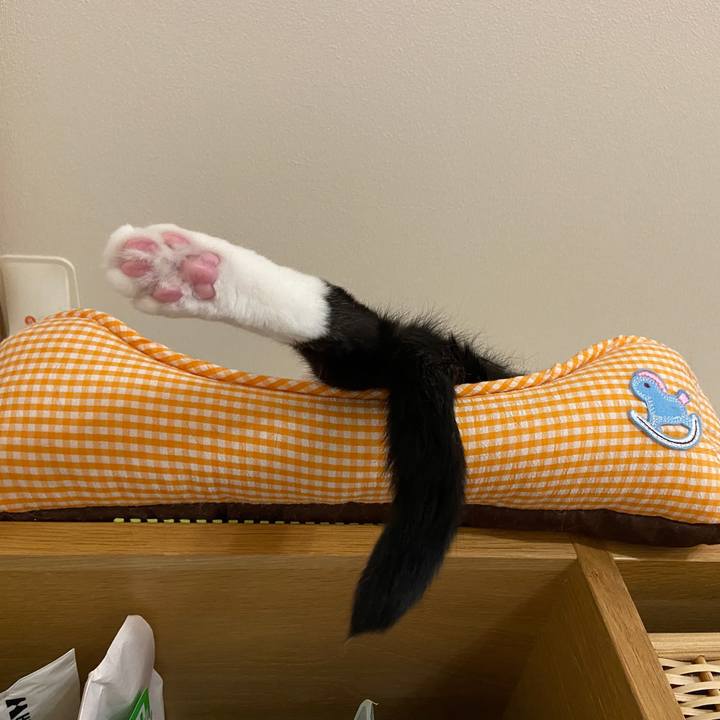 95229934 7078 4f55 943e e2e0444308de 1625066630523