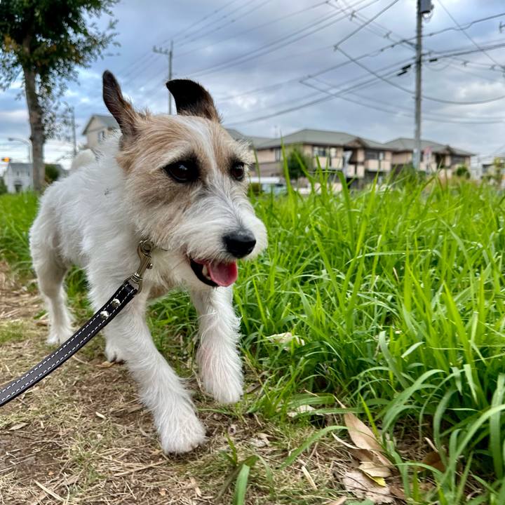 9522c080 7e59 4c26 8377 762d20f2dc6d 1729133614173