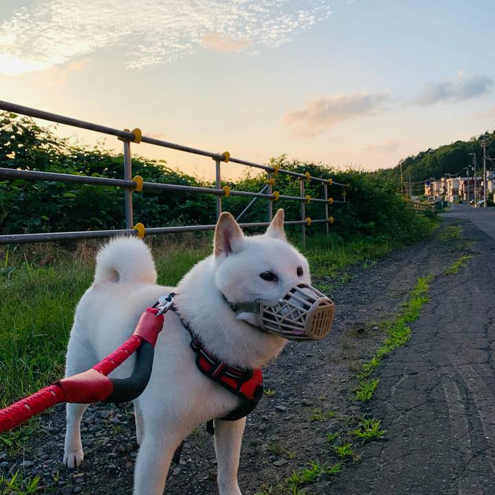 9522d963 5702 4f0f 9361 29c4290e1ea7 1659214276518