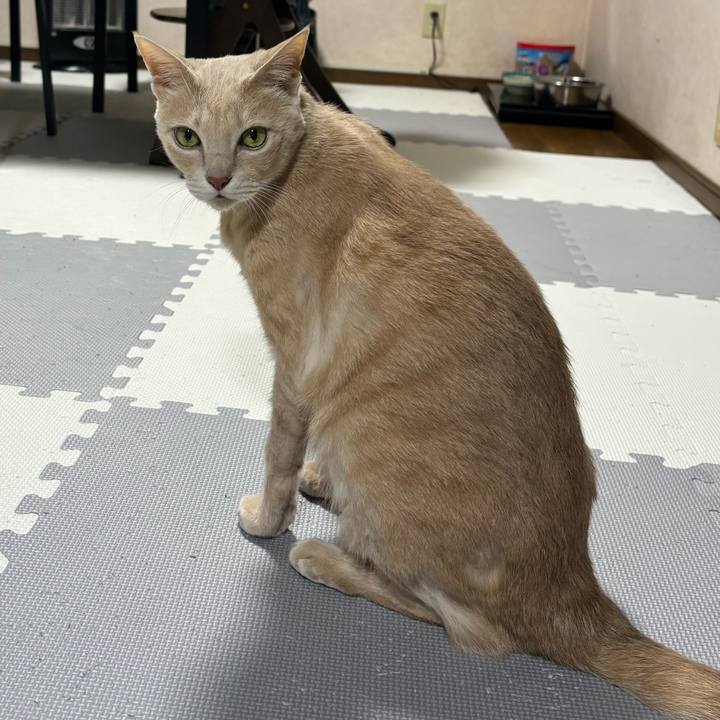 9522f760 b84e 498d b092 82882117cab5 1713645446055