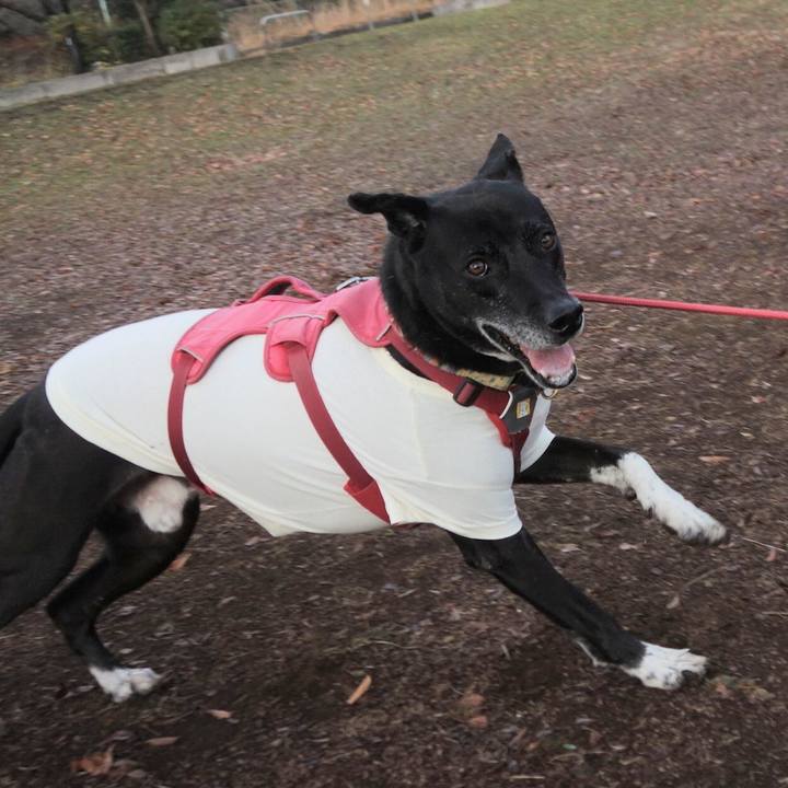 95230666 48ee 49ff 9ce3 7b7568e60b35 1703638297315