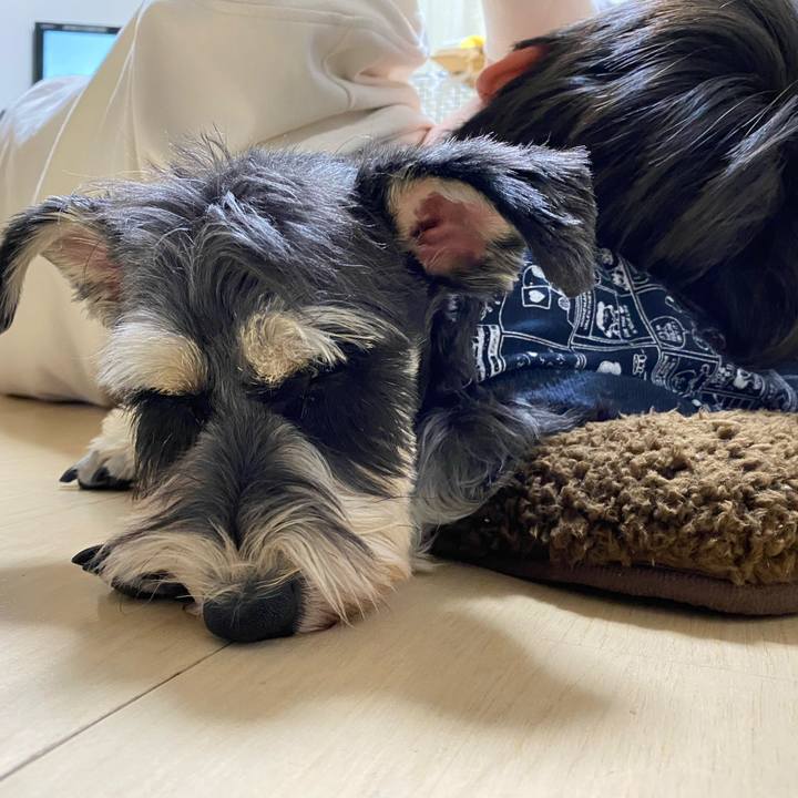 95230e21 8fe7 4bfe aafd f91eb6139651 1609765536952