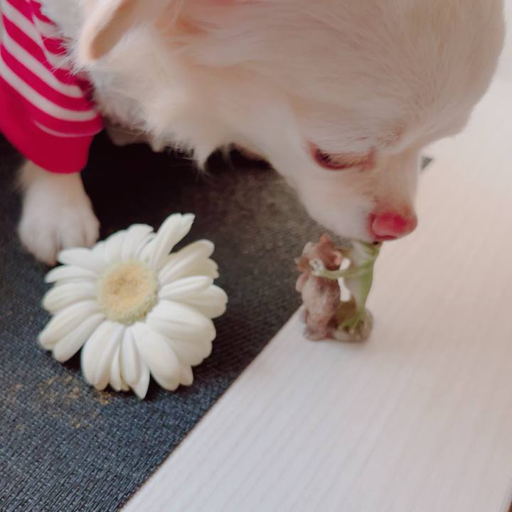 9523375e b287 4bd3 bcc0 e0f173977c59 1702985953771