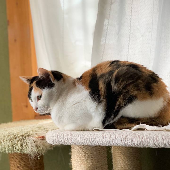 95236cf7 8758 4580 a4f1 89509ccc0e40 1571967549502