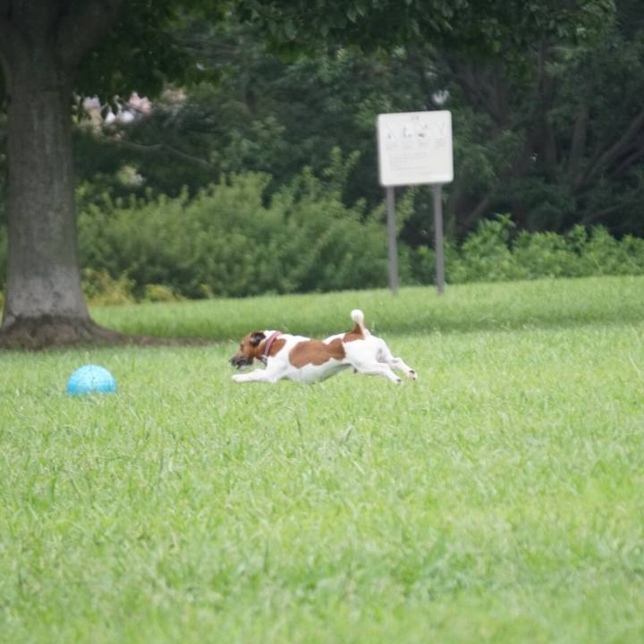 95238183 c5be 4058 b5ca 6717c3fd3475 1569798146358