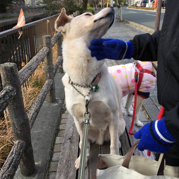 9523d4db 96d7 43e4 a374 2b5a262eeb24 1514342599813