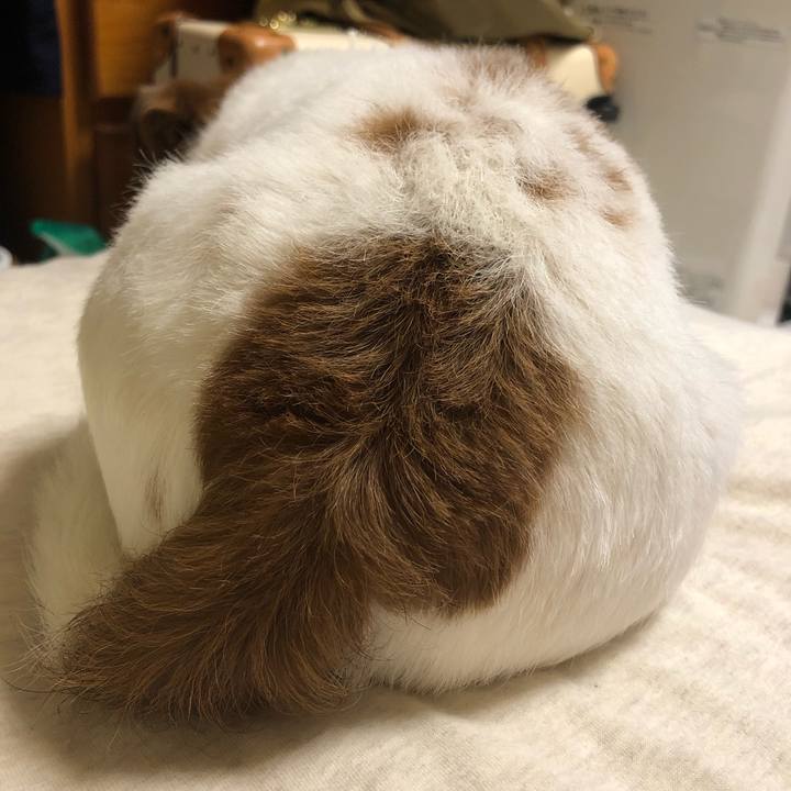 95240af6 6911 4108 a260 93ea75d96824 1562489171763