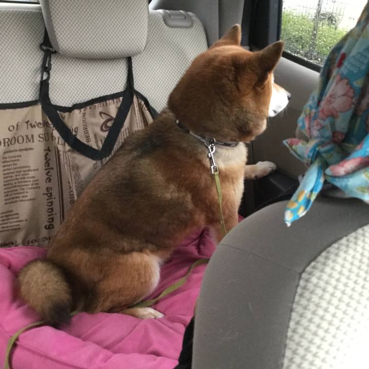 95240be9 d687 4a3a ab74 65f3e1be0a27 1583306023499