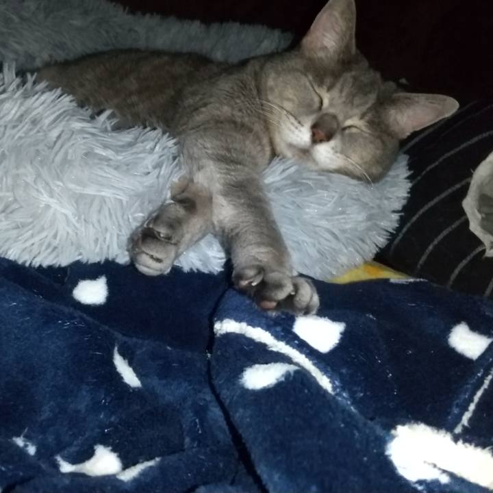 95241473 d6b2 4197 be7b 989911c5698c 1641717708601