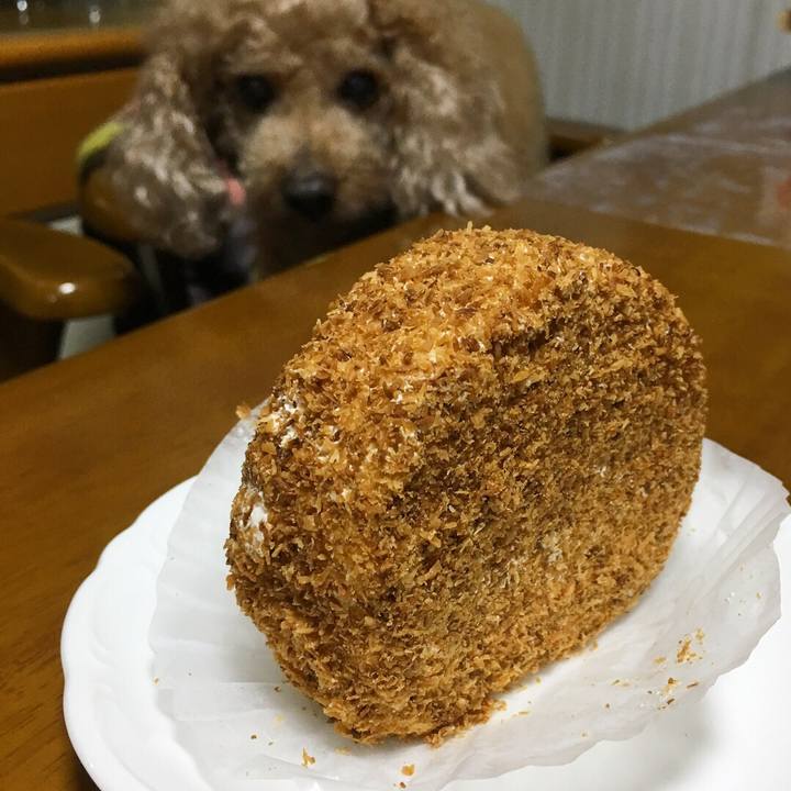 95241da4 e08e 4c39 a254 040a79790844 1524665929116