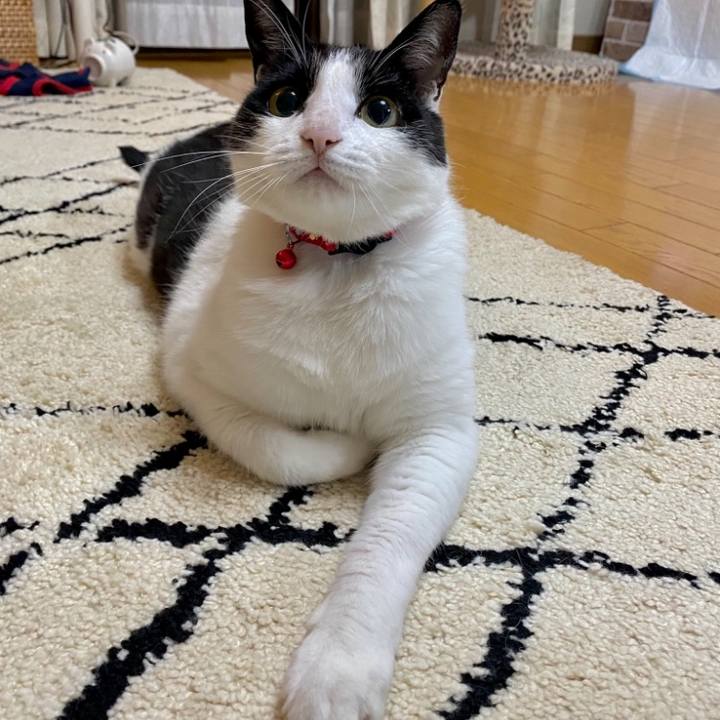 952424f0 6b8e 4ba4 abad 57fb8ef5b122 1686145890835