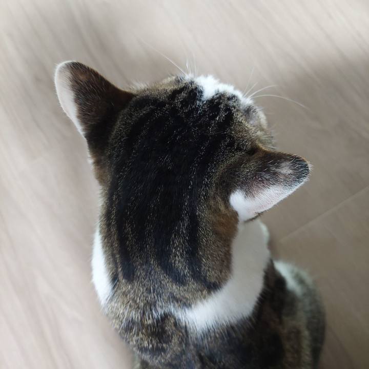 95242e45 2cba 4037 81c7 5b22cb78803b 1629840997073