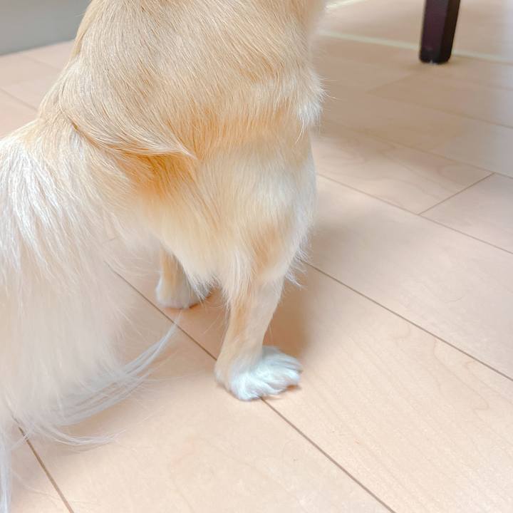 95244fd3 945d 4c3e 8ad1 0df19f34b880 1648879015624