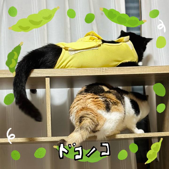 95245c5f 728f 4148 9c78 0c48ad575132 1721007702562