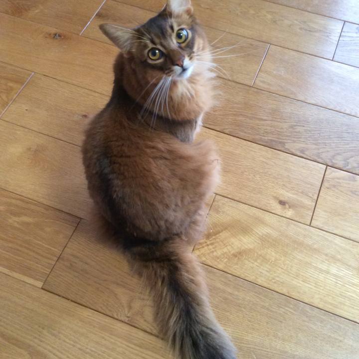 9524a79c ff5e 4a5d 9f3f 4cae2ad38770 1606352468228