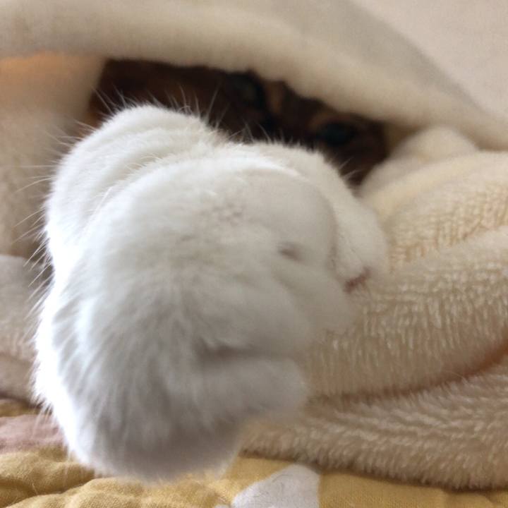 9524bbbc ea5d 48b8 87d8 2455d20ba589 1538194091608