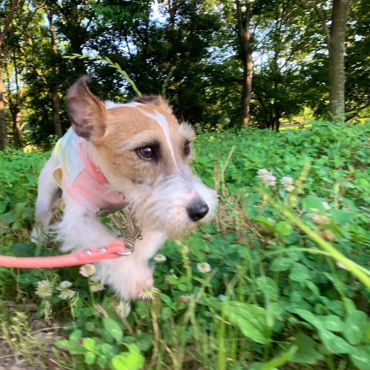 9524c24c 468a 495b 9bc8 548150627129 1592301006597