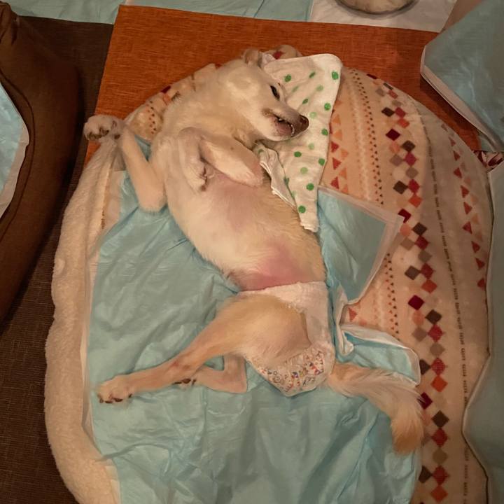 9524e152 516b 4c49 9c3c 4471c735ddab 1670754188277