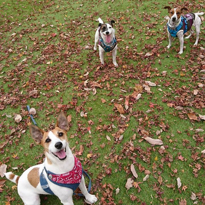 95252c49 a64c 4359 a917 28acd77383eb 1605781281534