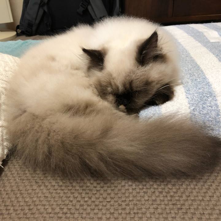 95255be4 8783 4434 bbf1 2908167a2d30 1635579344944