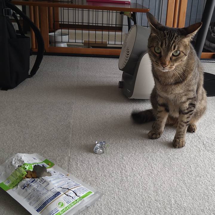 95255d8e f301 42c9 baf3 a4c263c8be99 1620969345857