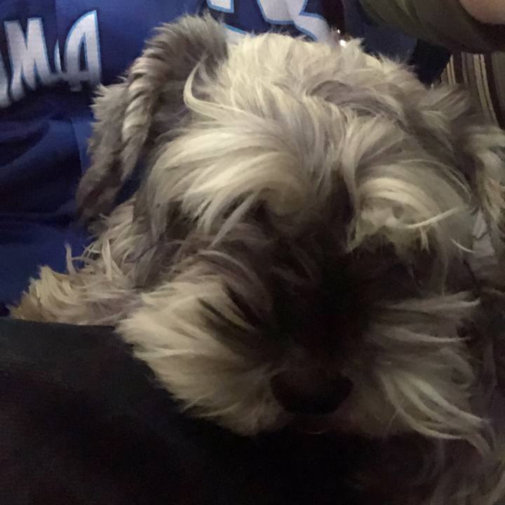 95256a6e 1c55 4f75 8424 4d54967ebc35 1555136798587