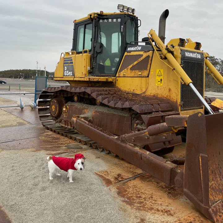 952586e9 fc65 4d7e b04c 34f1ffa9285b 1614641502267