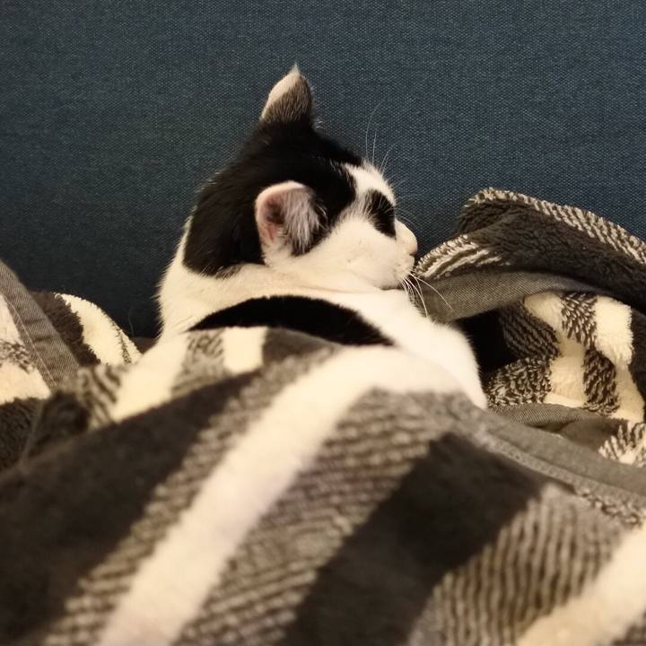 95259c2a d476 4ab7 91f9 9004ea45e0f6 1521037380094