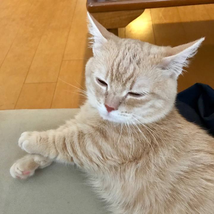 95259d9e 9a7d 4e98 86ad 4e29ceb7ddbf 1528018629493