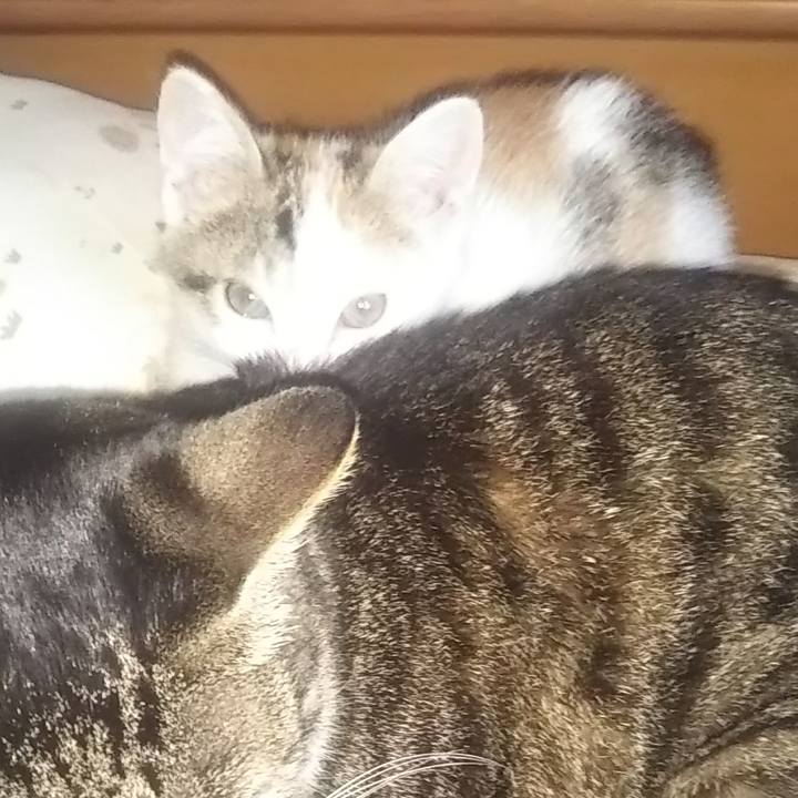 9525a711 6b71 4a20 b97b 3397880d9b79 1642040091589