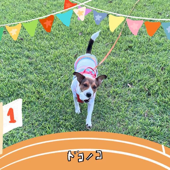 9525a84f 38df 460f bed0 c707faad9fe1 1761137854514