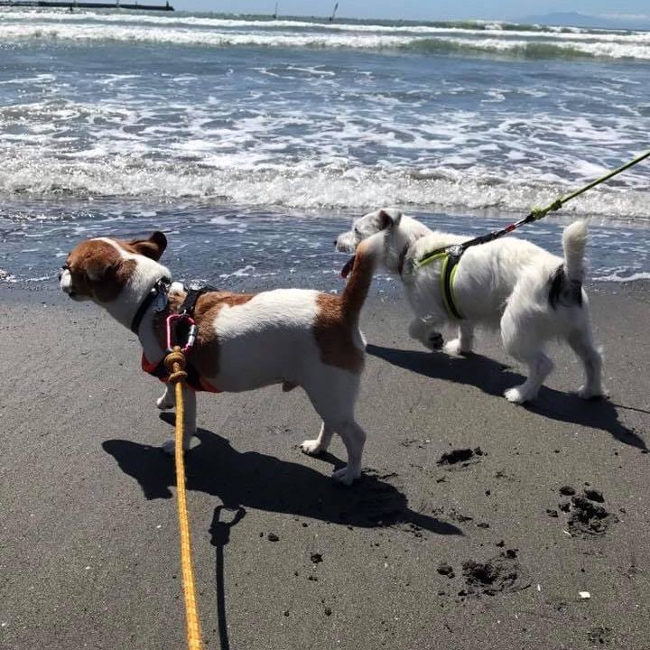 9525a899 5e30 4c4e 9ca3 b5799220d691 1663460640256