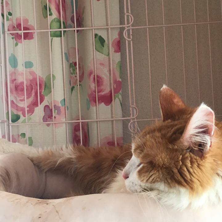 9525da30 4721 472f 8ae5 6596adc4689b 1570330869203