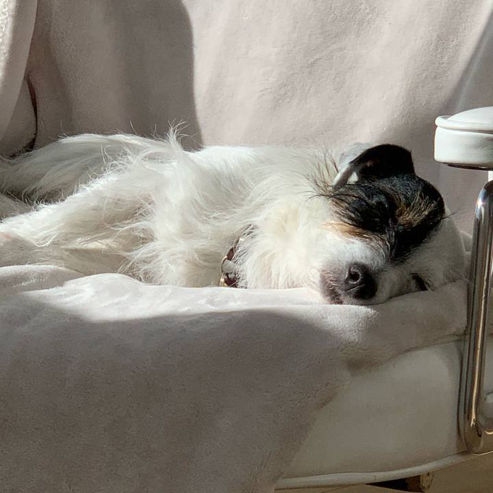 9525dd85 fb6a 4b02 b0aa 35b80d6bf4fe 1582782771631