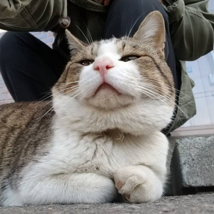 9525dffb bf1b 49f1 b156 12717827bc37 1588172016370