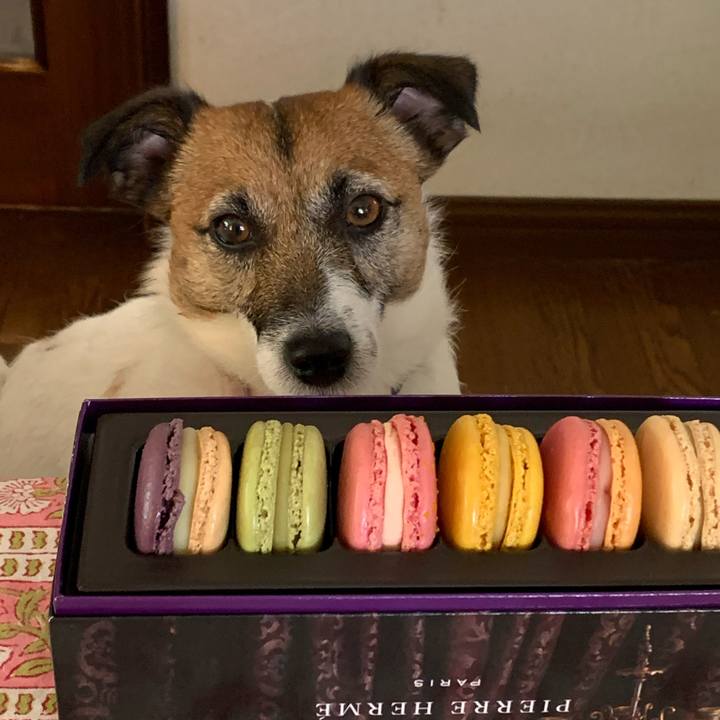 9525eb11 1cf3 4b45 92d9 9325e8d1585f 1589680695757