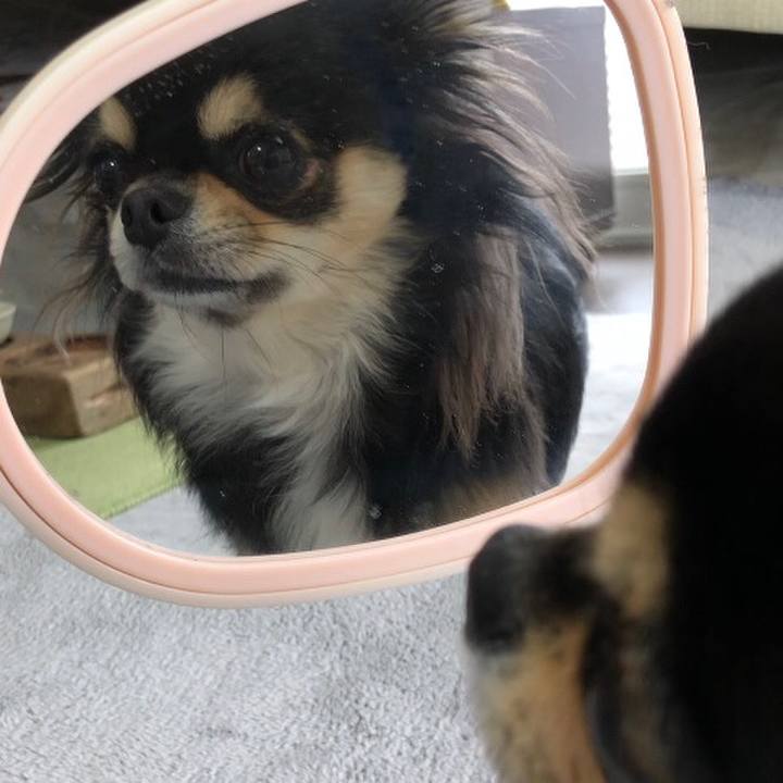 9525f07d 2dfb 46d5 ae5d dba4436d9dbd 1587542445389