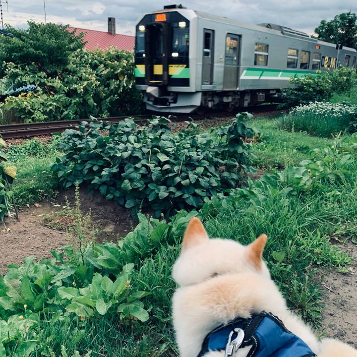 9525f1fc ed79 49d2 86dd febdc1a24d8a 1661201023485