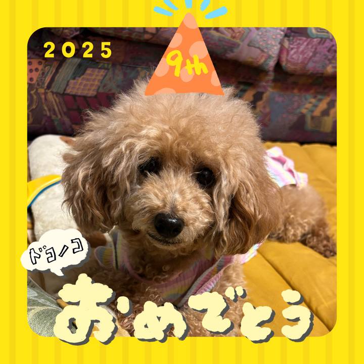 9525face b37d 40e8 a593 d80f7cbadd2a 1749121750755