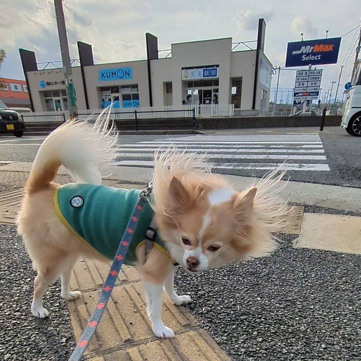 9525fcd4 9d14 4153 a023 5bdfcbb03fed 1767177649413