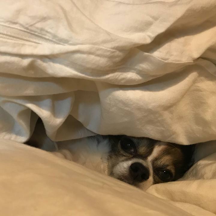 9526198f fc52 4b27 8b24 ac5144391959 1507987109266