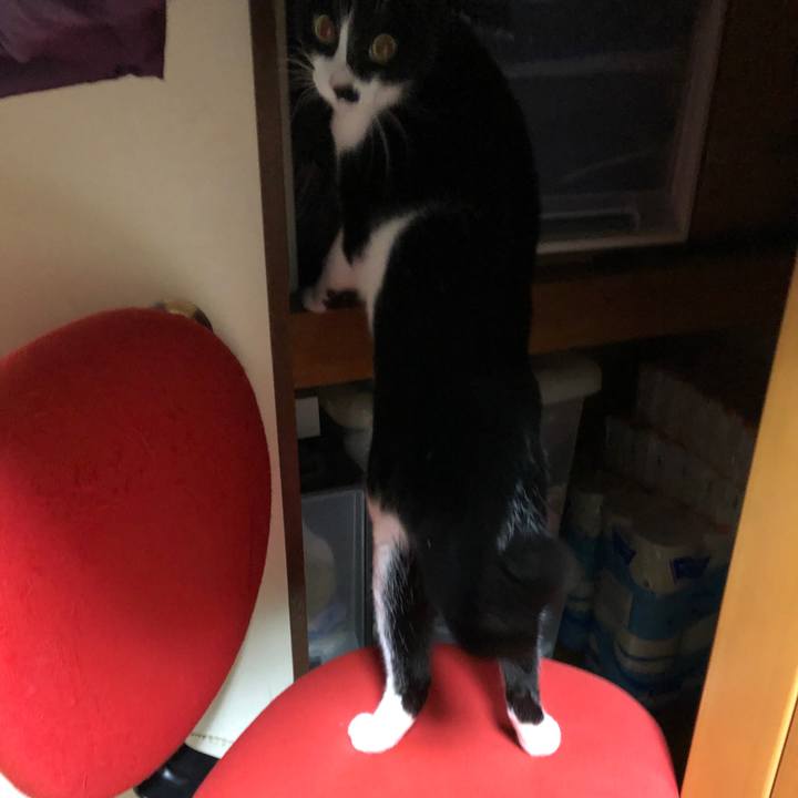 95262d7b 4012 4afa 8525 09f304dc0e91 1547030607491