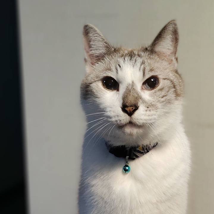 9526366c 20d7 4d49 8044 ef50a214d991 1632212373927