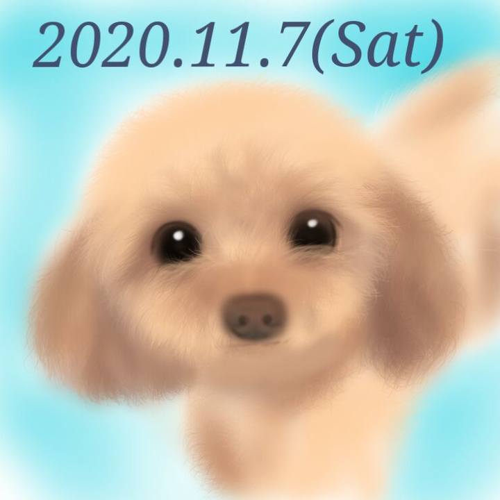 95263b2f 3e19 4bcd bf91 3caae8417a9c 1604748515626