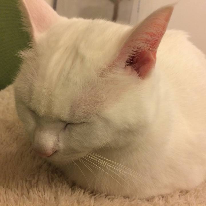 95265c87 9b9e 4138 92cd 7abf2b9bec47 1512213616607