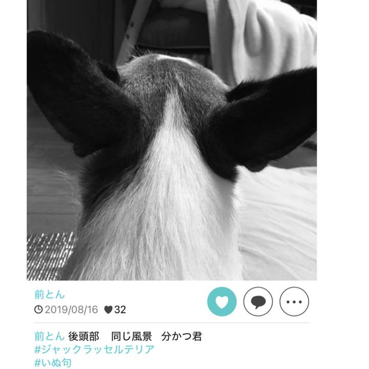 95266f7b 2897 49d0 a42a 4aba6f963c0a 1755559360881