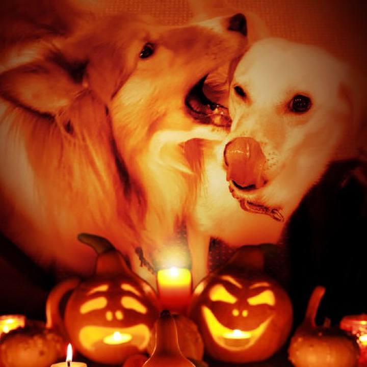 95267f72 4747 4f8f bc70 0fe0651ef219 1604141055133